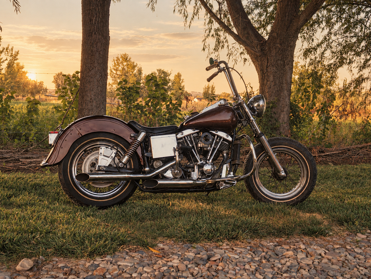 SHOVELHEAD — 1966–1984