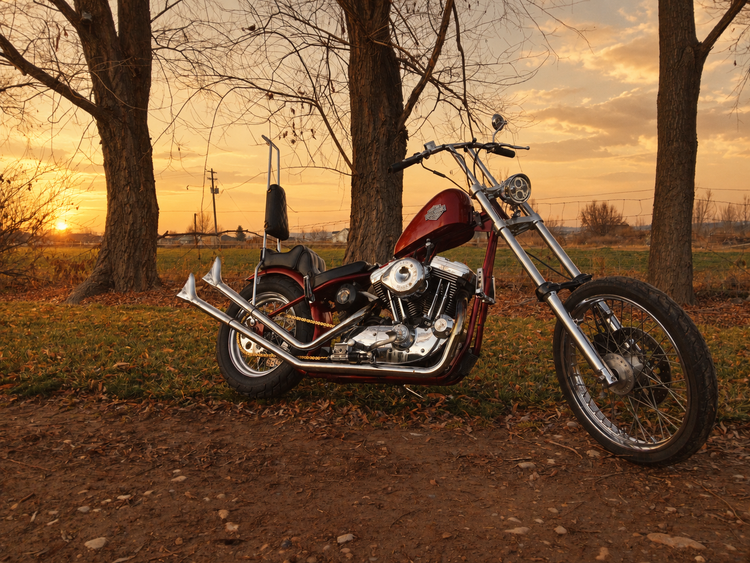 SPORTSTER XL — 1986–2003